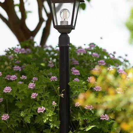 Mediterraneo Redang Island