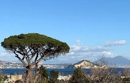 Bed & Breakfast Mediterraneo