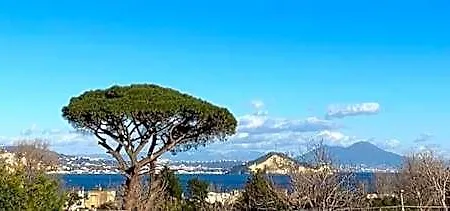 Mediterraneo Procida